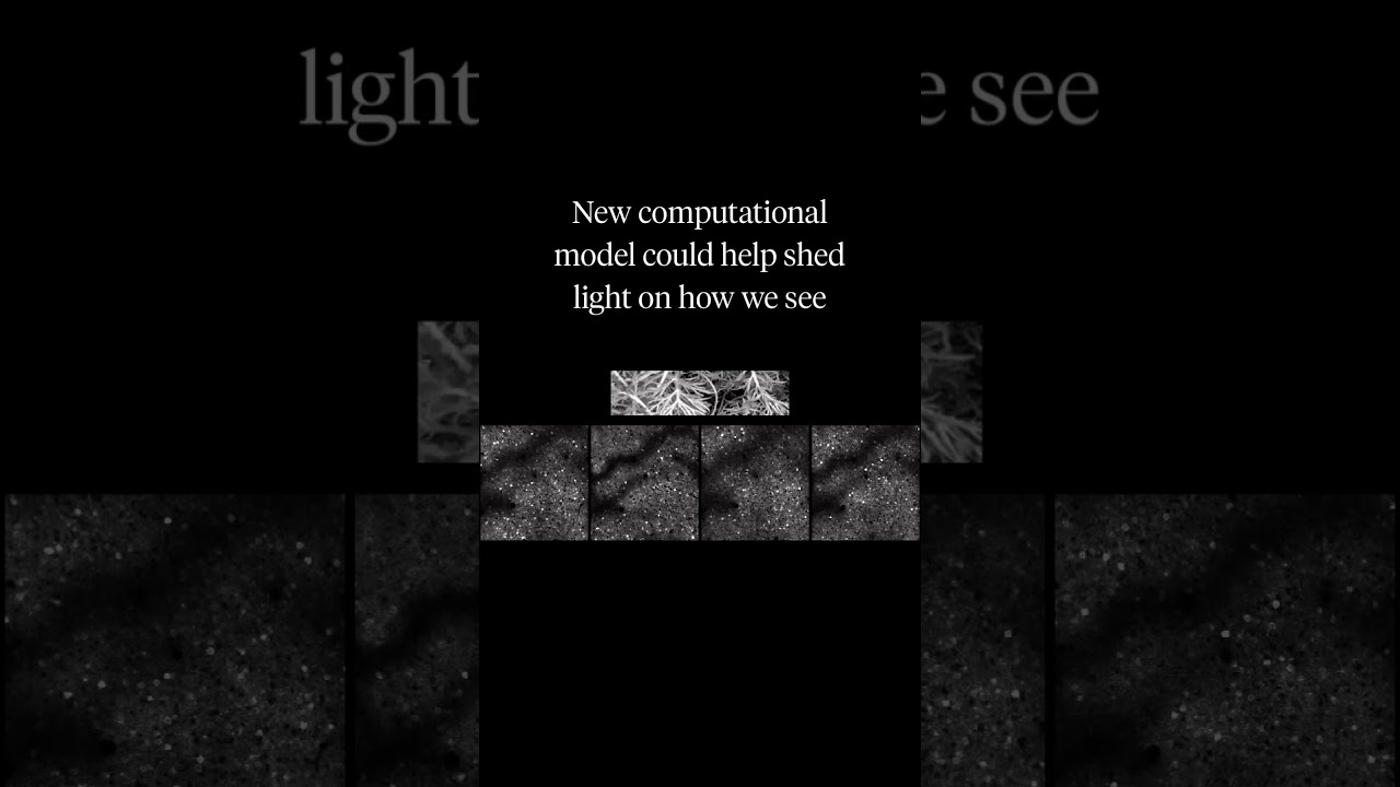 New Computational Model Enhances Understanding of Neuronal Information Encoding