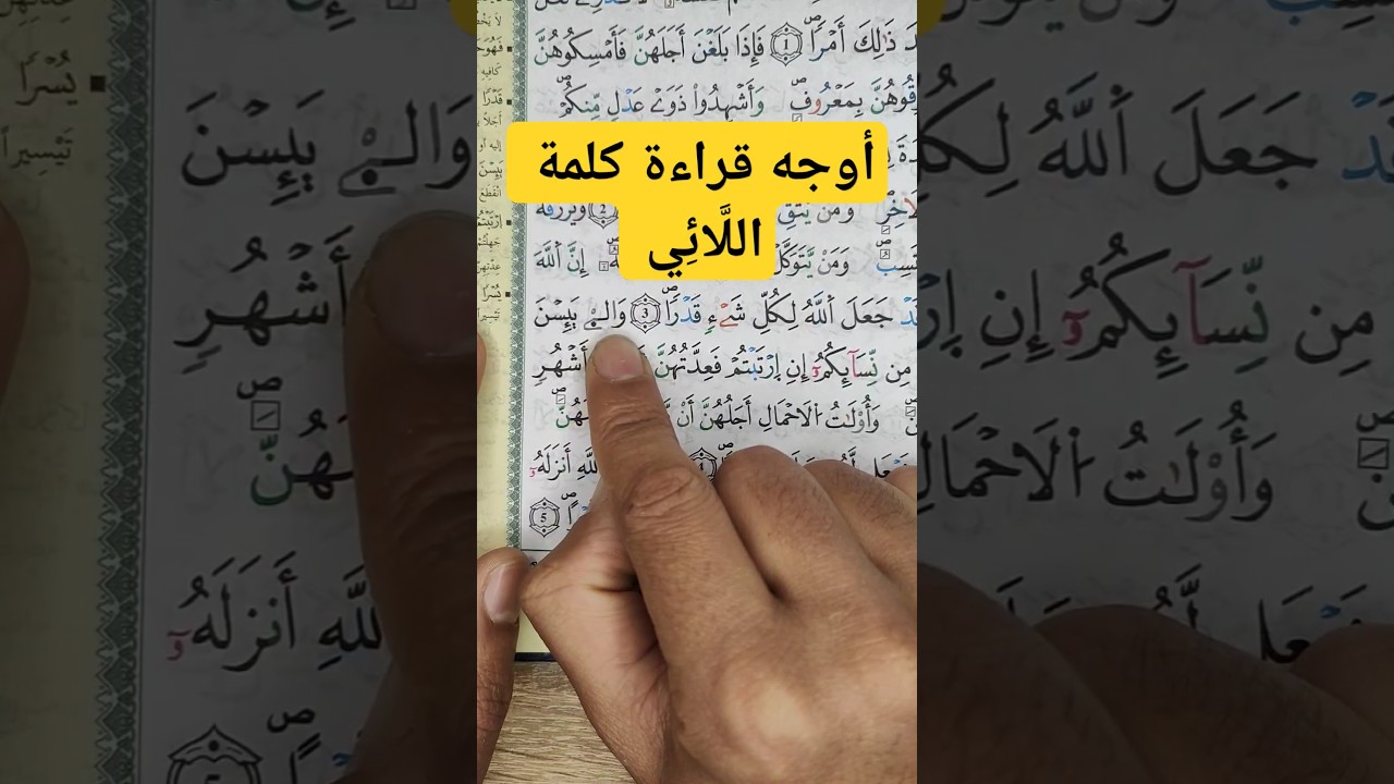 أوجه قراءة كلمة اللَّائِي برواية ورش عن نافع #القرآن #القرآن_الكريم #تجويد