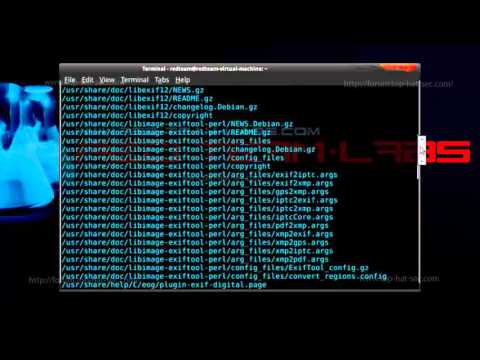Exif Tool CTF Challenge 🛠️