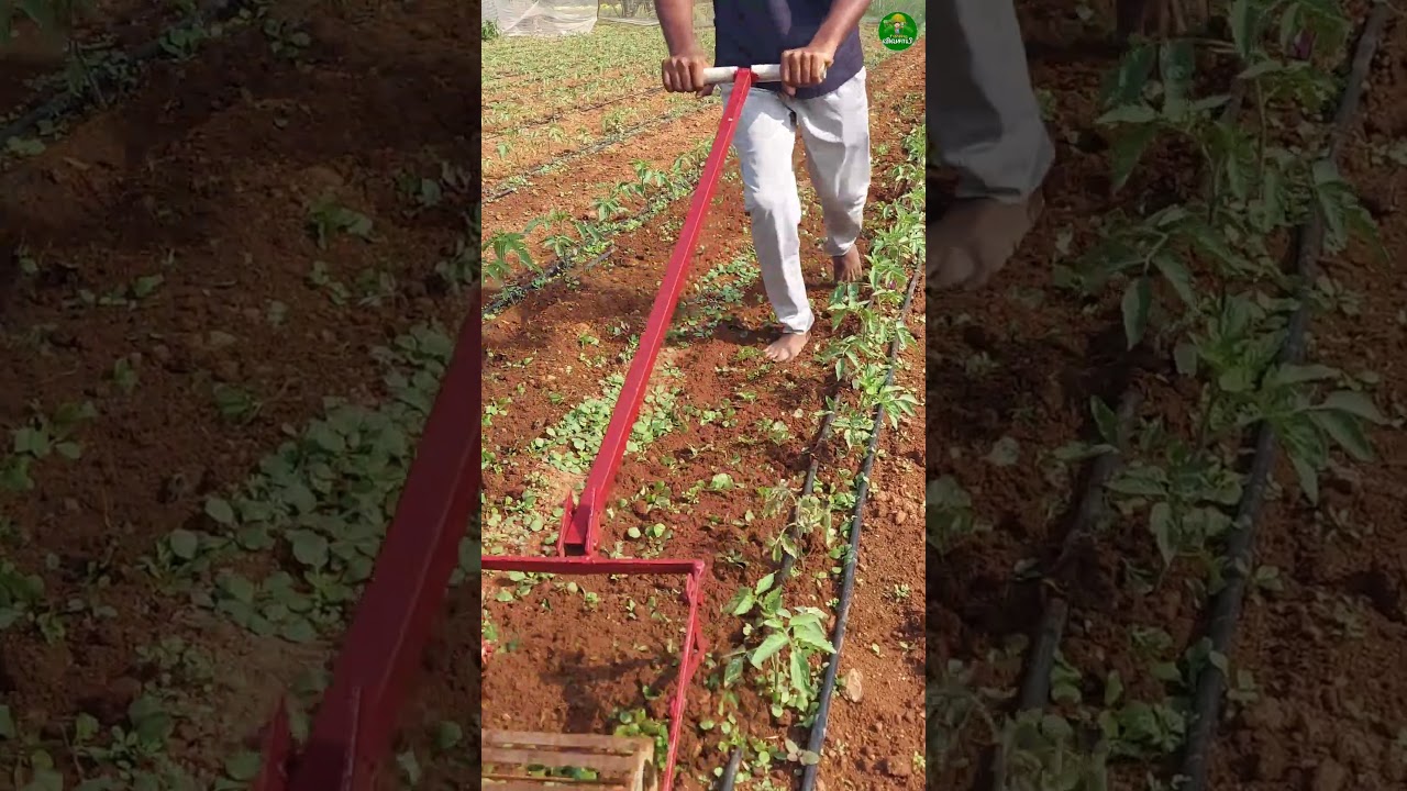 Weeder Tool Machine for Farmers 🚜