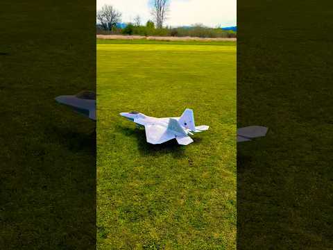 Freewing F-22 Raptor High Performance 90mm EDF Jet - PNP