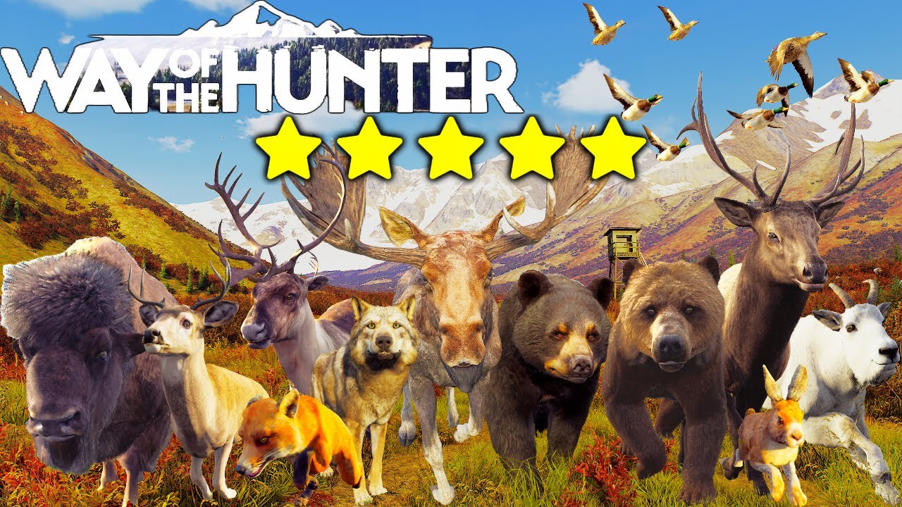 Every Animal on Aurora Shores BUT They Are ALL 5 Stars!