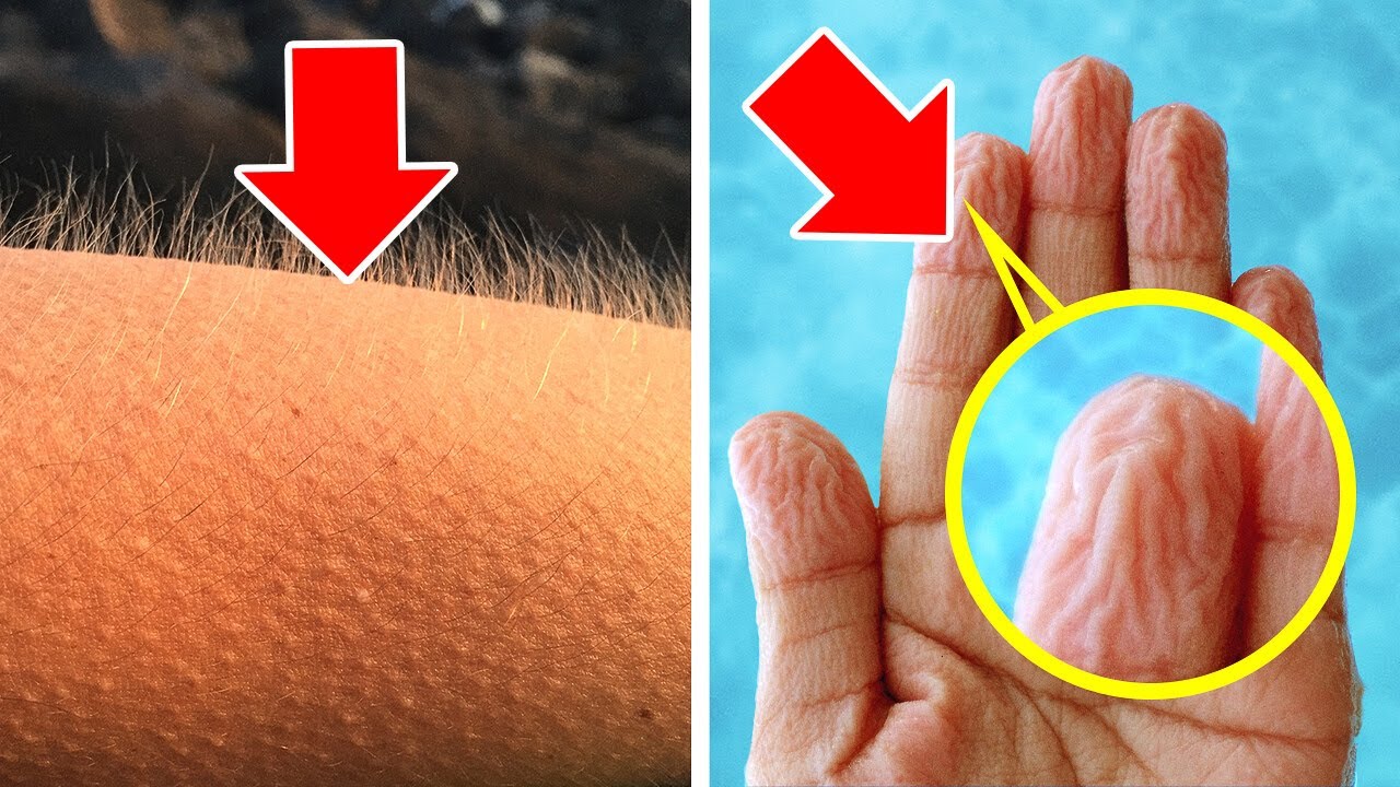 90 Surprising Facts You Didn't Know 🤯