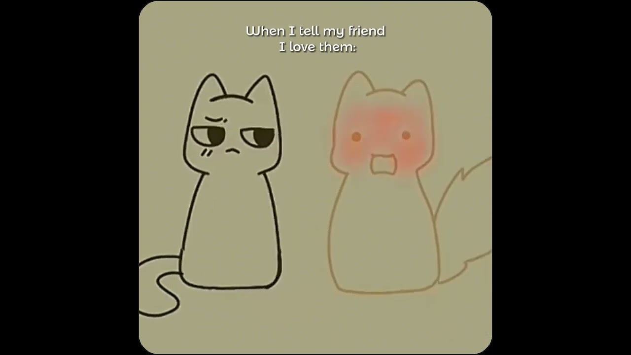 Adorable Cats Sharing a Sweet Kiss 😻 | Viral & Funny Moments