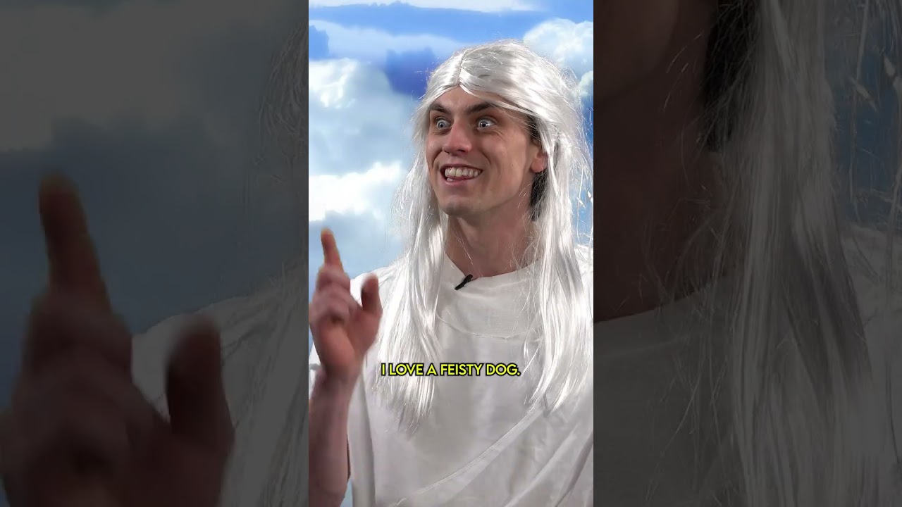 God Creates French Bulldogs πΆ