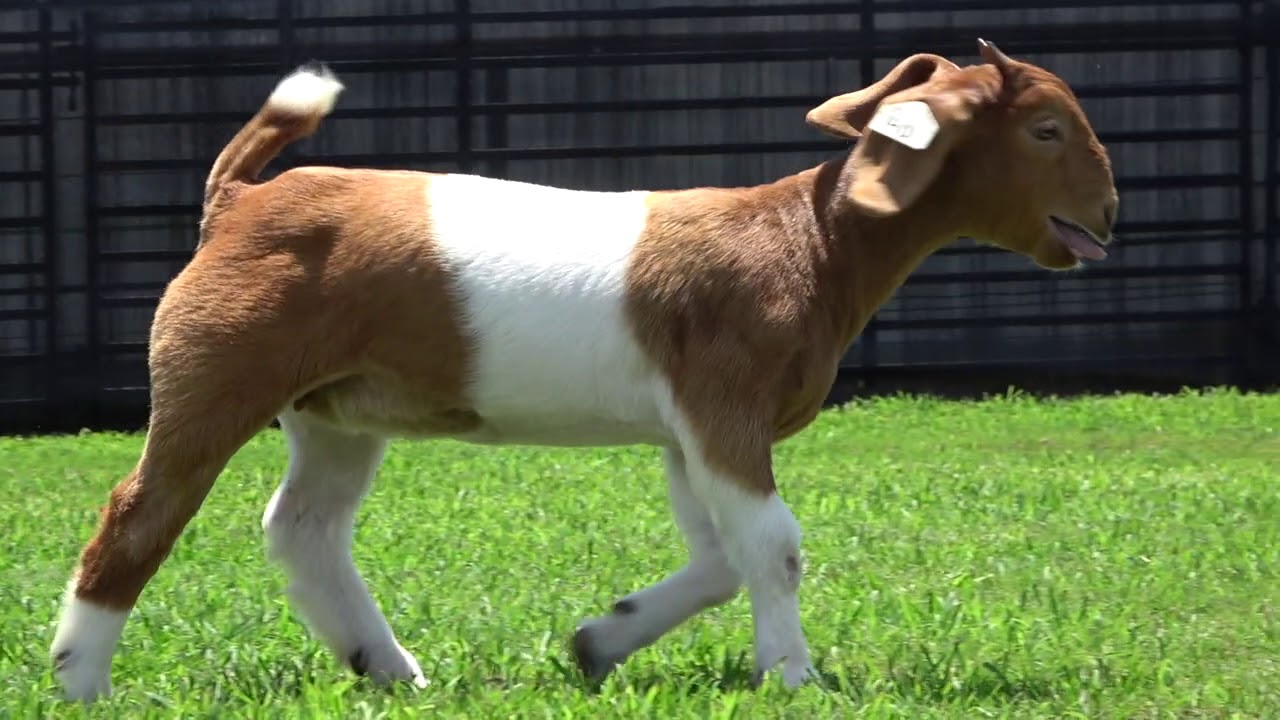 Lot 1 - 6-24-19 Overview