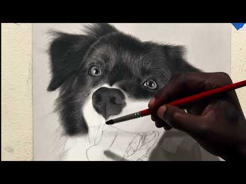 HOW TO DRAW A DOG'S NOSE