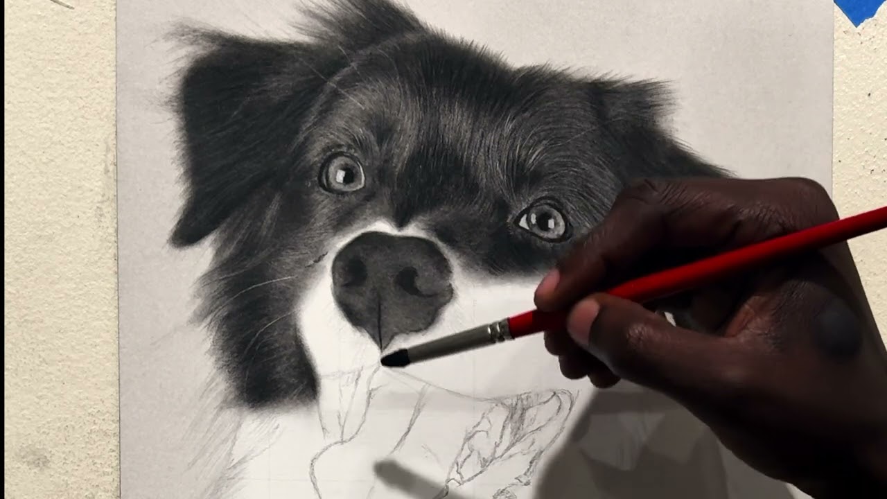 How to Draw a Dog's Nose in Charcoal