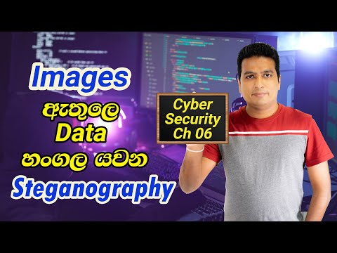 Learn Cyber Security (සිංහල) Chapter  06 - Image Steganography