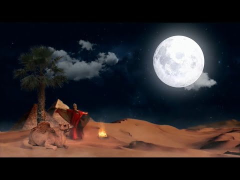 ART TV Network // Ramadan ID #⑤ (2023)