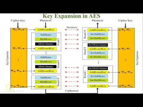 Key Expansion in AES | Round Constant and g function in Key Expansion in AES