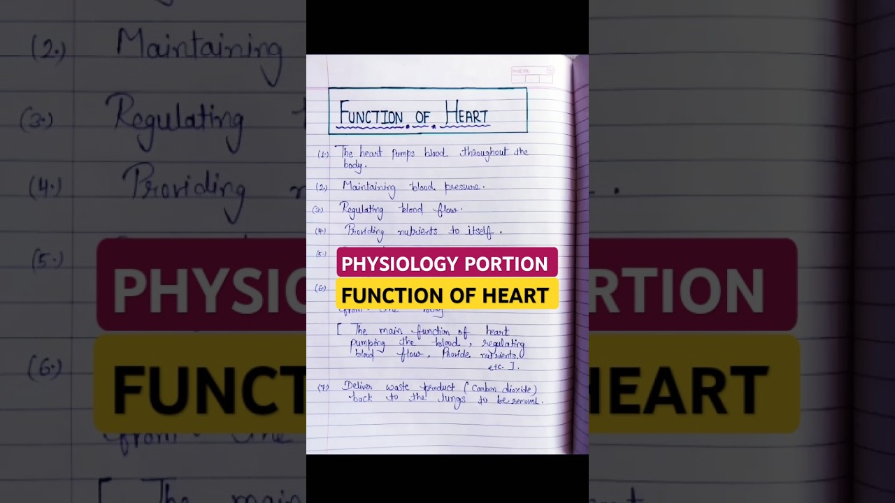 Function of Heart | heart function | physiology cardiovascular system #shorts