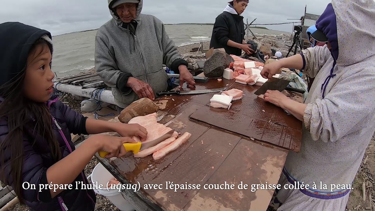 Séchage et entreposage traditionnel d'une baleine pour la consommation