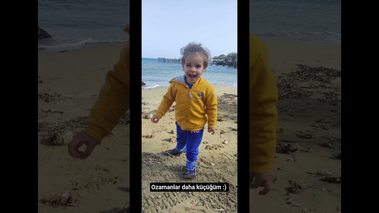 2 Yaşında Kıbrıs'ta Merit Royal & Merit Kristal Papaganı Görülecek 🦜