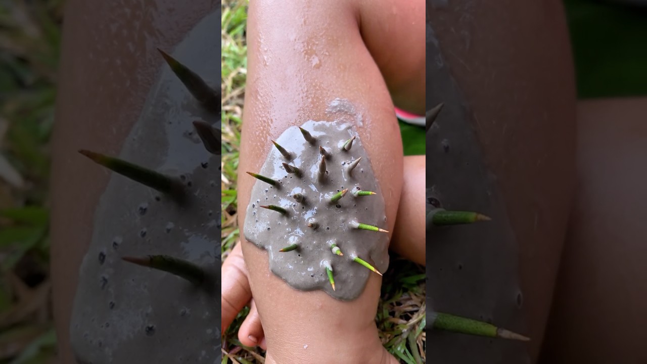 Essential Survival Tips for Single Moms: Smart & Practical Bushcraft Ideas ποΈ