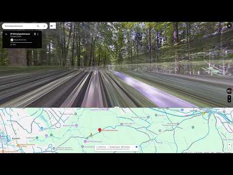 Muriel Furrer succumbed to severe head injuries