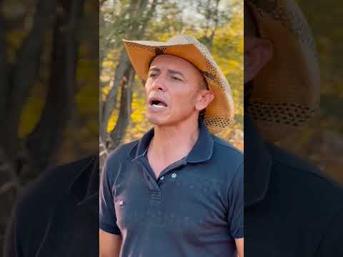 O golpe no patrão!(Segundo episódio)parte1