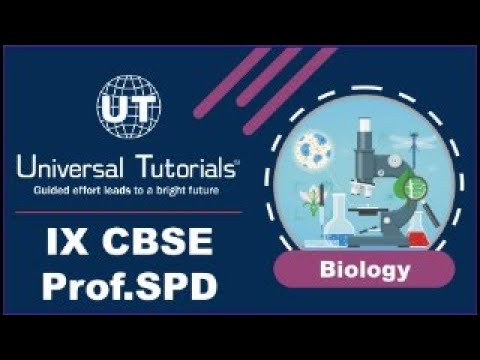 NRL25 - IX CBSE BIOLOGY SPD 27/08/2024 - Natural Resources