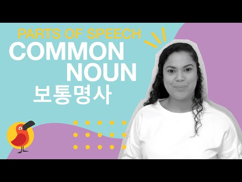 알다가도 모르겠는 "보통명사"(common noun)에 대해 알아보자! 캠블리 튜터 Nash #화상영어#캠블리#Cambly#보통명사#Commonnoun