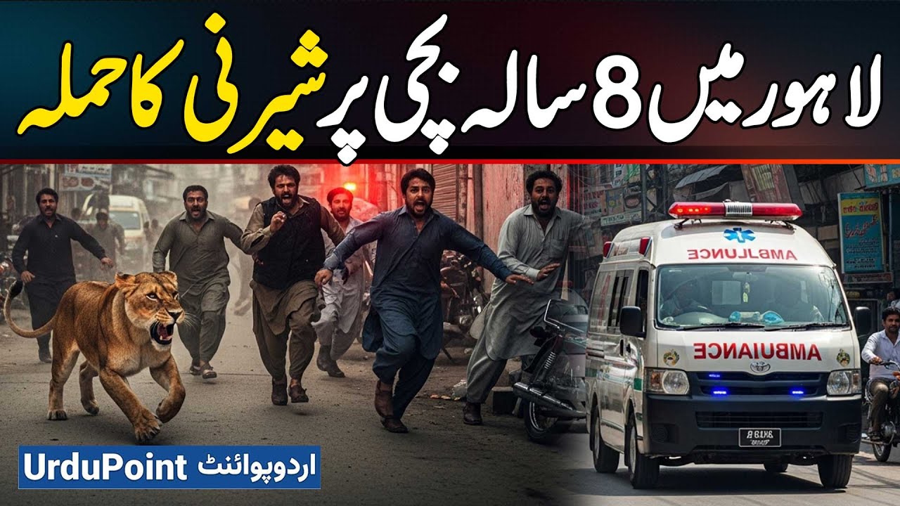 Lion Attack in Lahore: 8 Year Old Girl Attacked by a Lioness in Lahore Bhikhewala Village