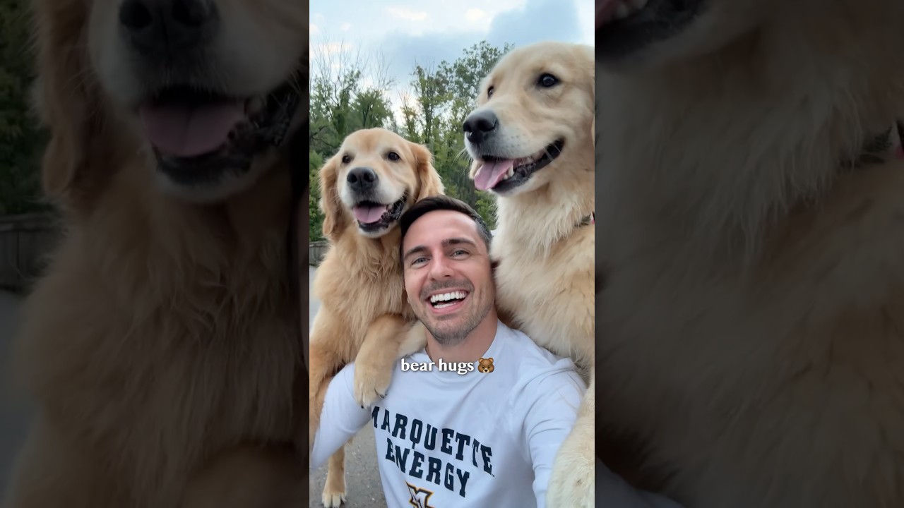 The 7 7 Types of Dog Hugs 🐶