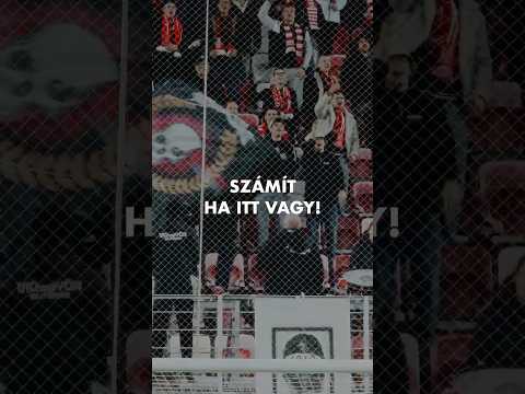 DVTK - Újpest FC | 2025.11.02. | Számít, ha itt vagy!
