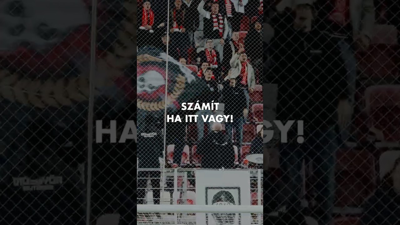 DVTK vs. Újpest FC – Fizz Liga 12. forduló | 2025.11.02.⚽