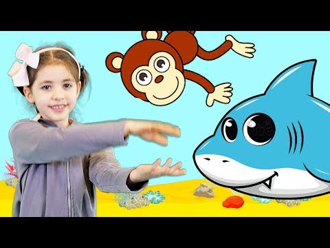 Catalina Monkey Baby Shark | Kid Songs and Nursery Rhymes (videoclip) Part 2