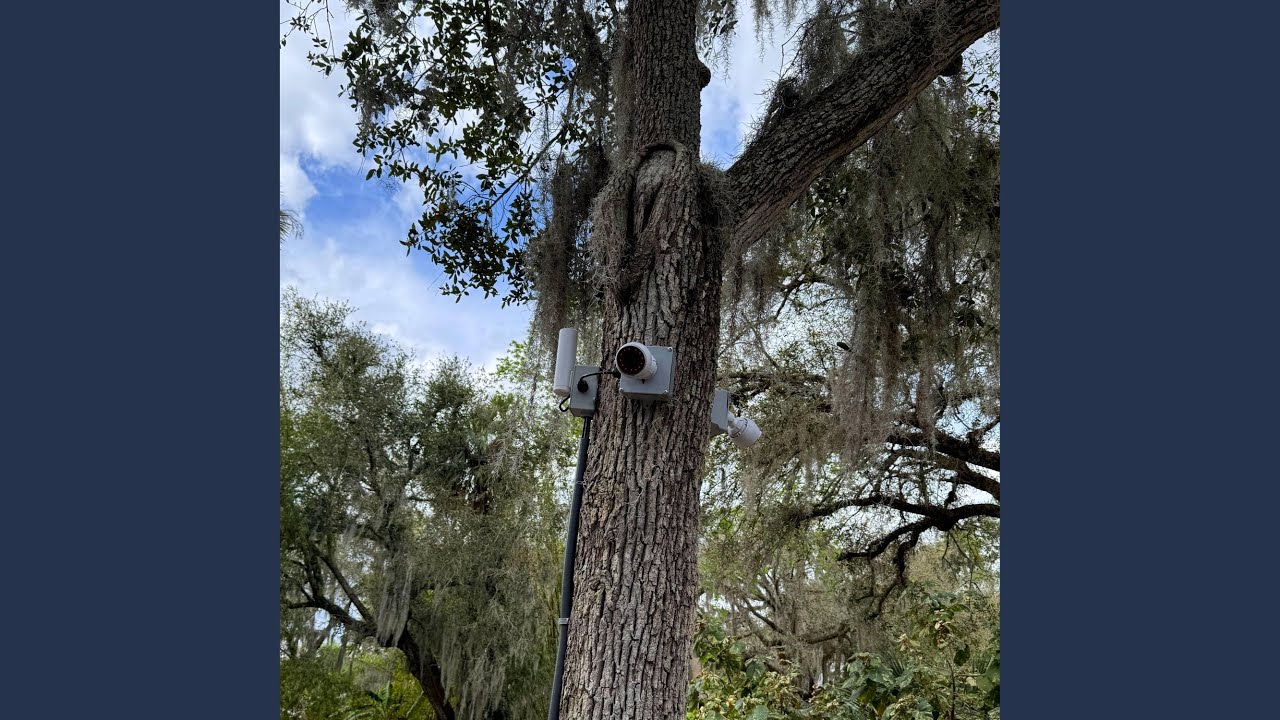 Brawler by Sudbath 🎮 (2025)