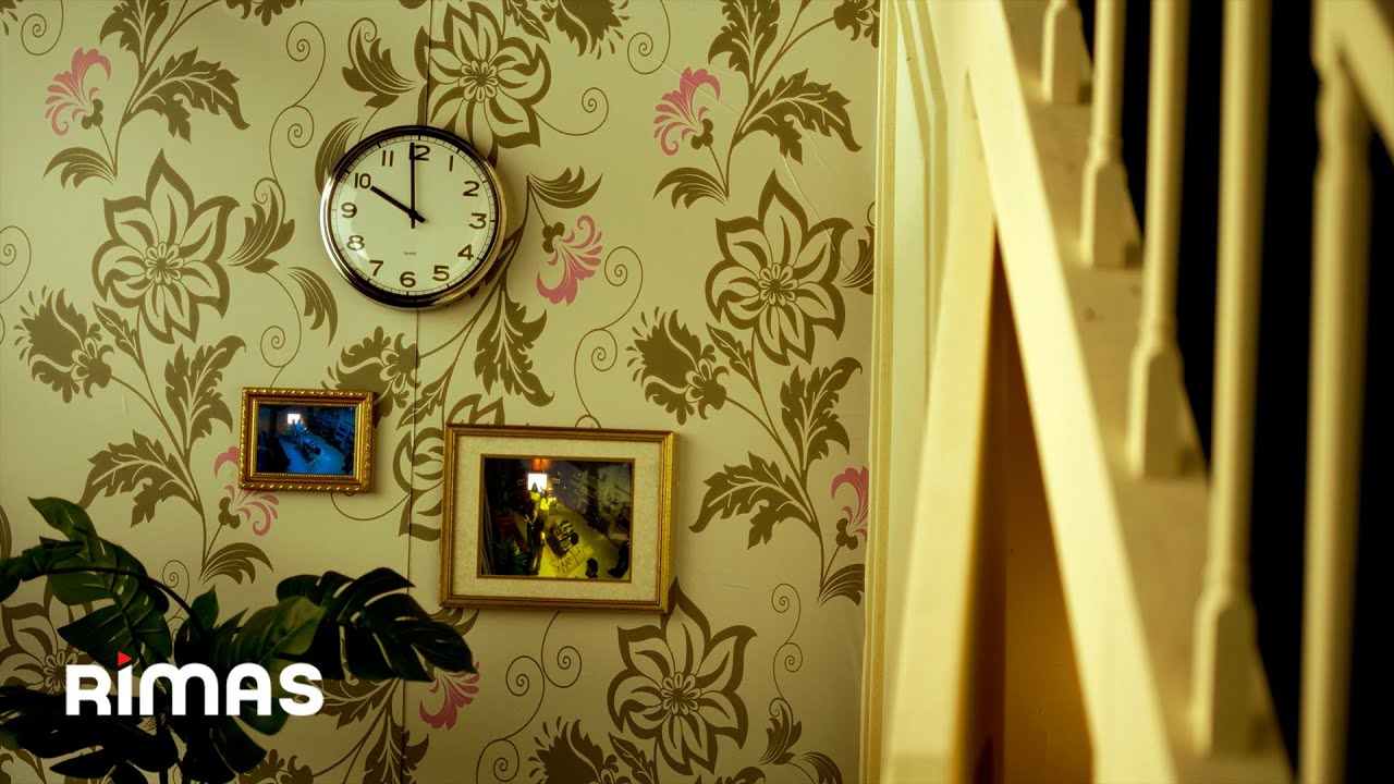 Mora - SALU (Visualizer) | LO MISMO DE SIEMPRE