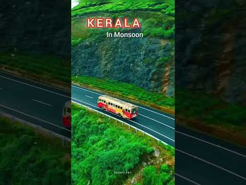 Kerala In Monsoon 🌧️ Feel the peace | #travel #shortsindia #shorts #shortsfeed #rain