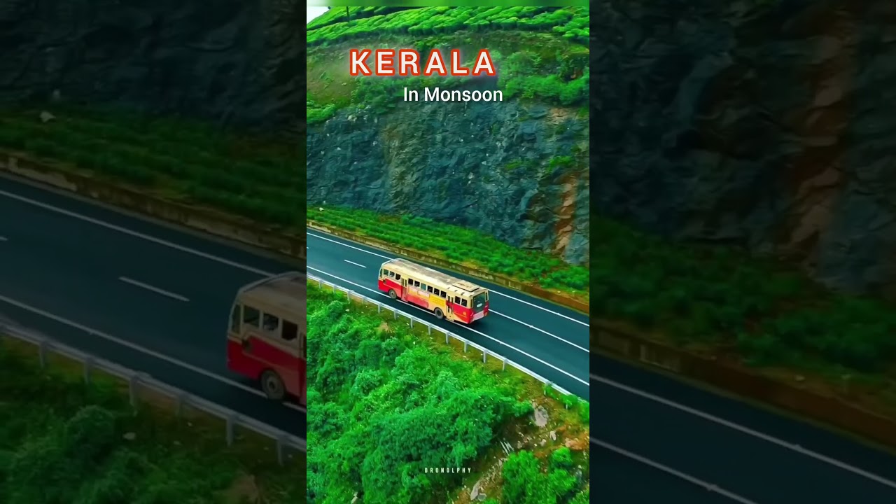 Kerala in Monsoon 🌧️ Experience the Tranquility | #Travel #ShortsIndia