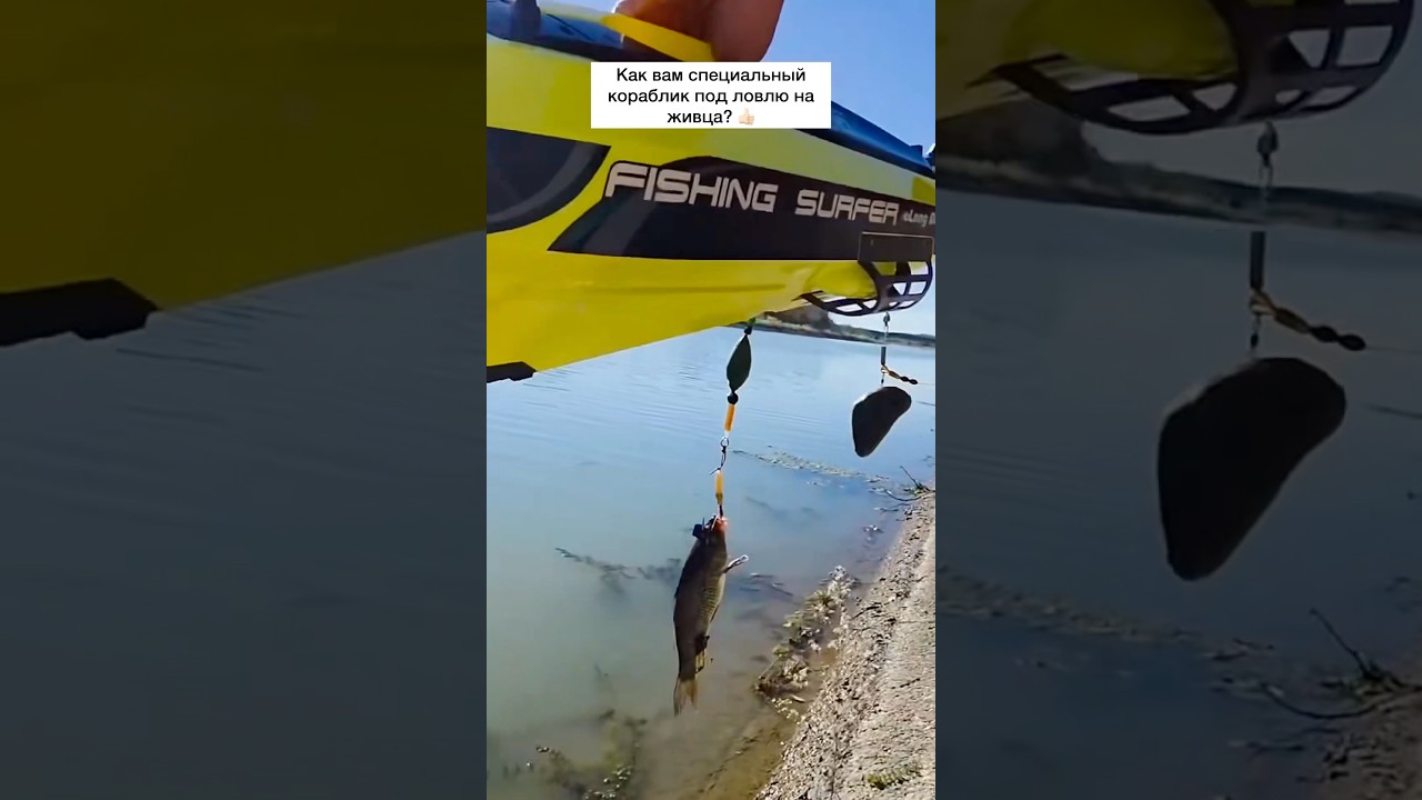 Как вам рыбалка? 🎣