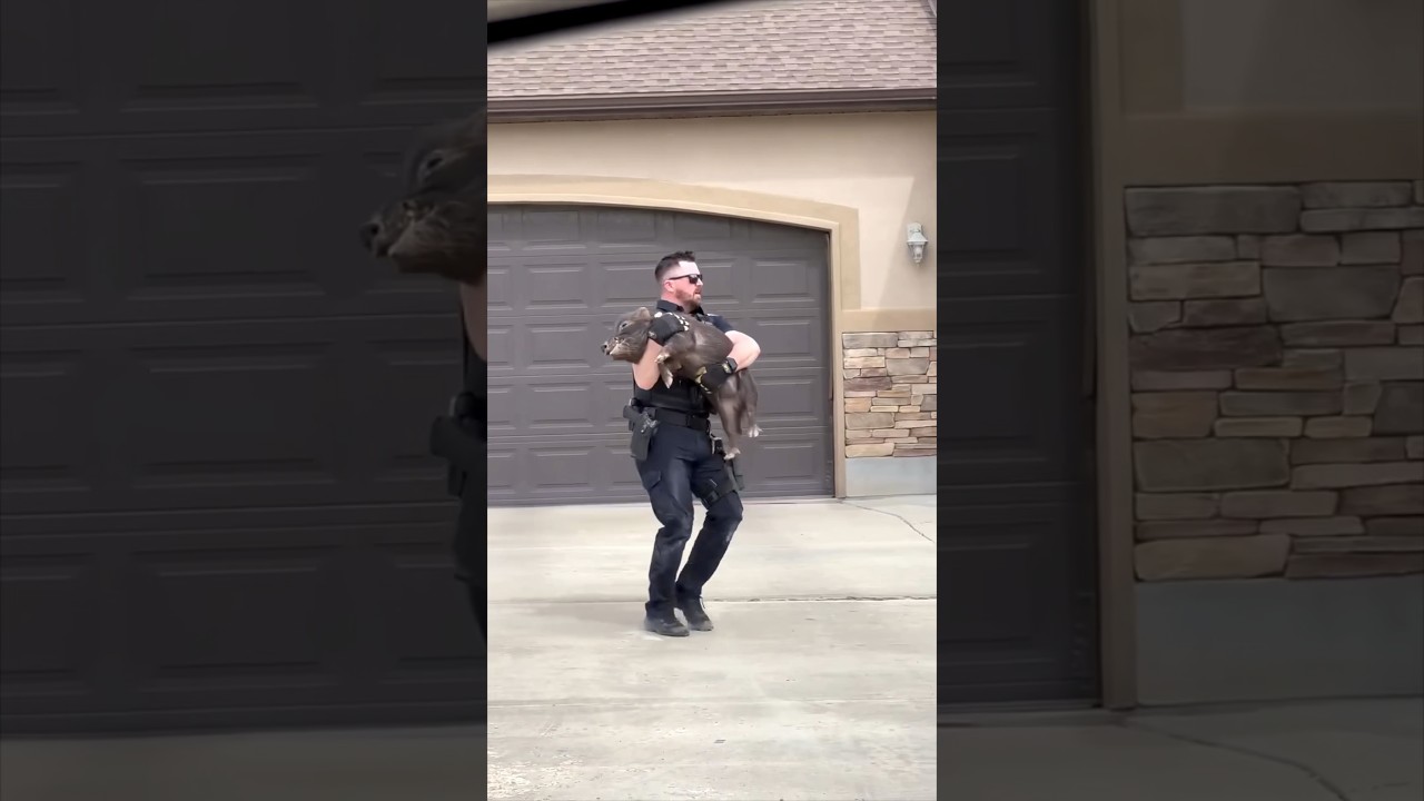 This cop had a strange day at work 😂