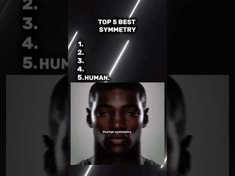 Top 5 Best Symmetry