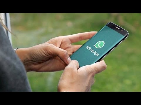 WhatsApp terá criptografia e proteção por senha para backups de conversas