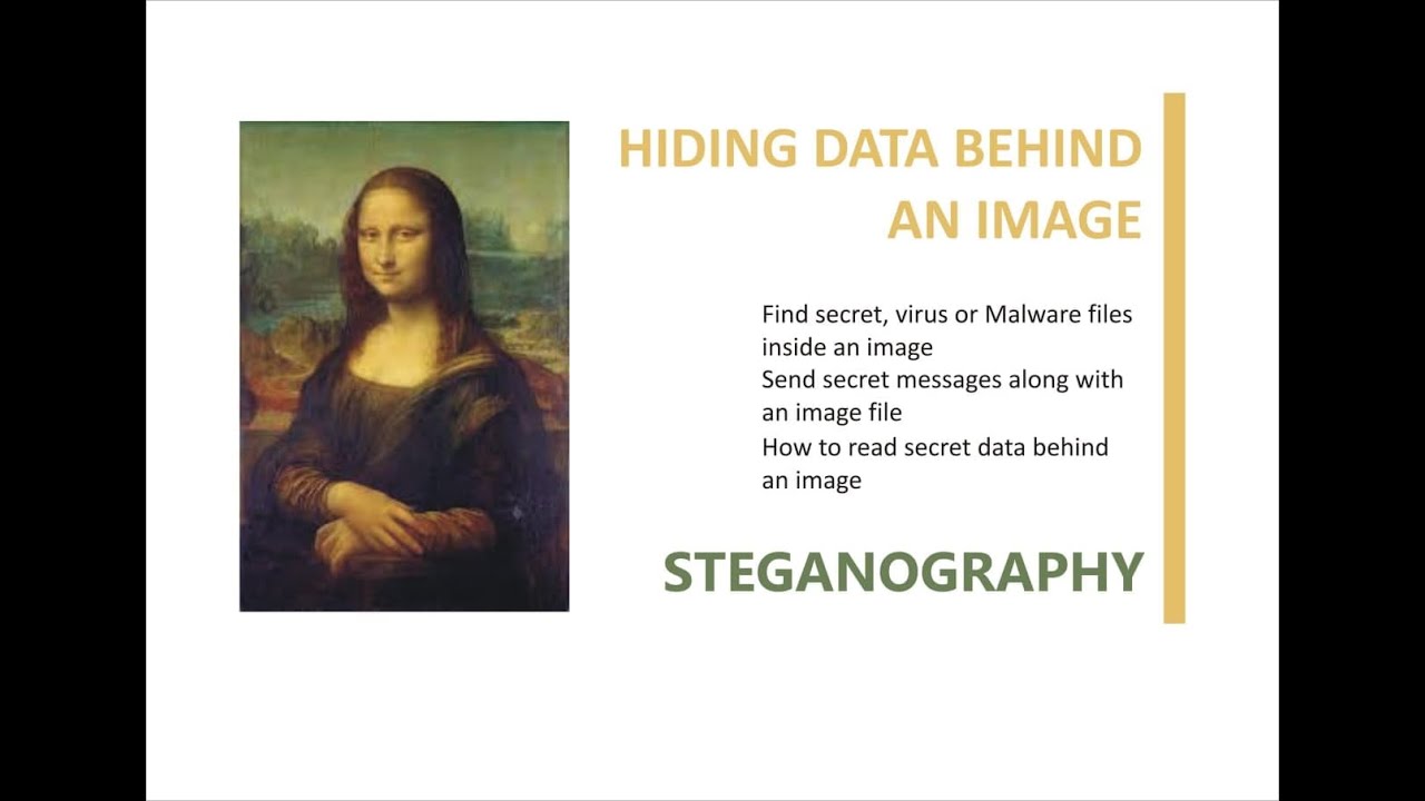 Learn How to Hide Secret Messages Inside Images with Steganography πΌοΈ