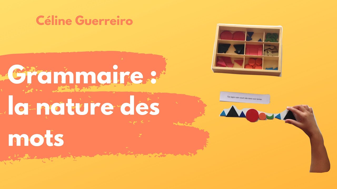 Grammaire : la nature des mots