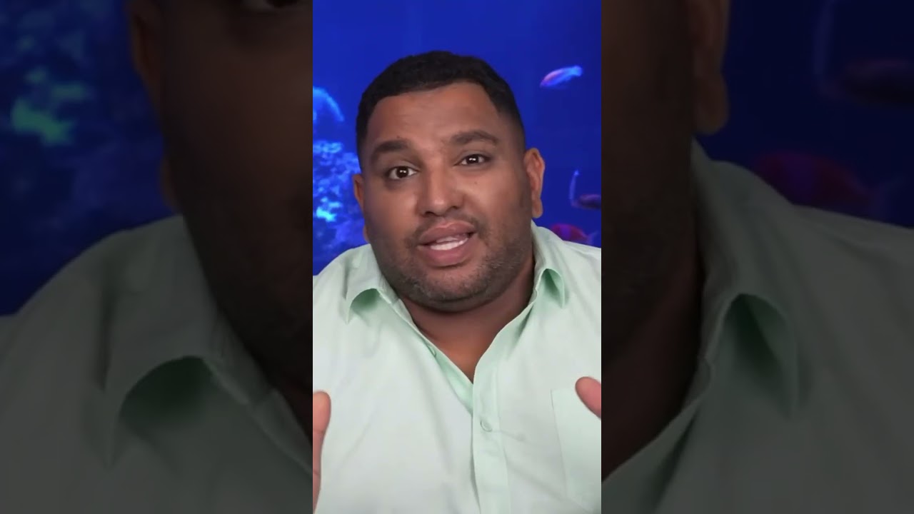 Catching Fish in a 17,000 Aquarium #Shorts