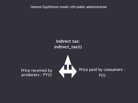 Computable General Equilibrium model with public administration
