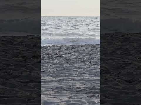 Just calm down! #freakinnomads #oceanwaves #justbe