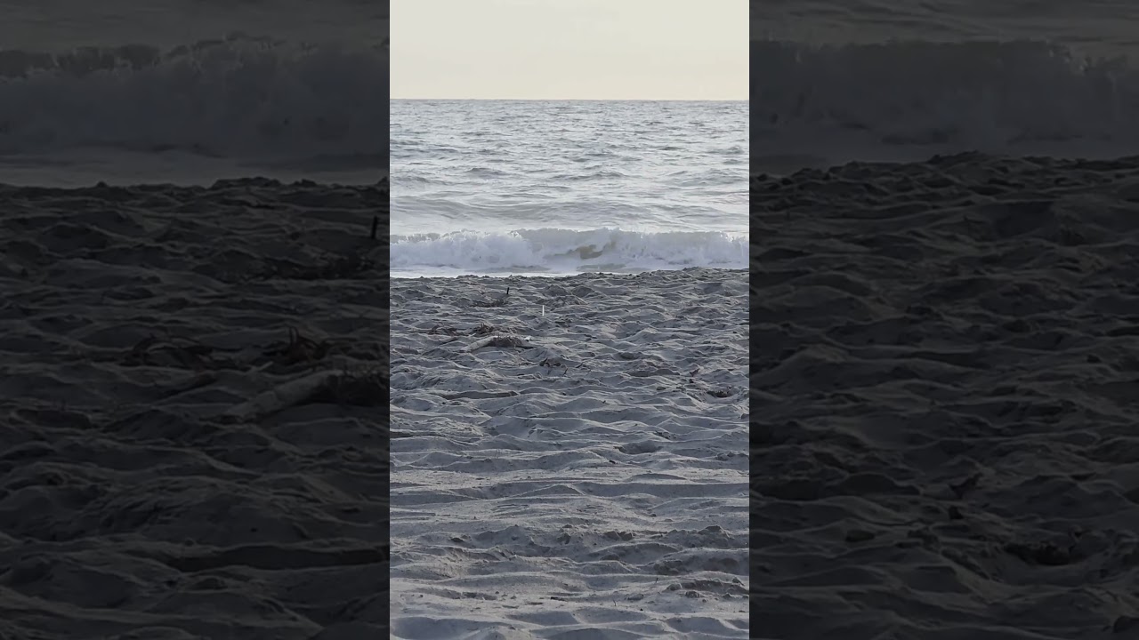 Stay Calm and Embrace the Ocean Waves 🌊