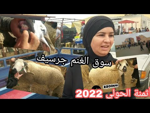 أثمنة خروف العيد 2022/أجواء سوق الثلاثاء جرسيف 21/6/2022