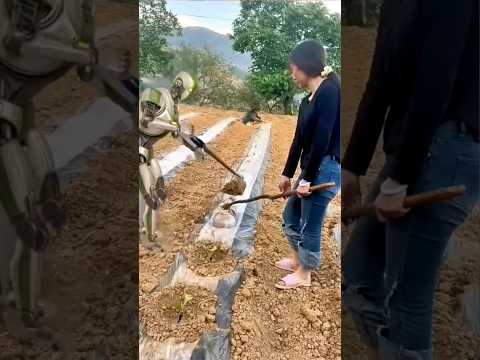 Modren Farming #shorts #agriculture #farming2024 #youngfarmers #EliteShortsUnleashed #2449