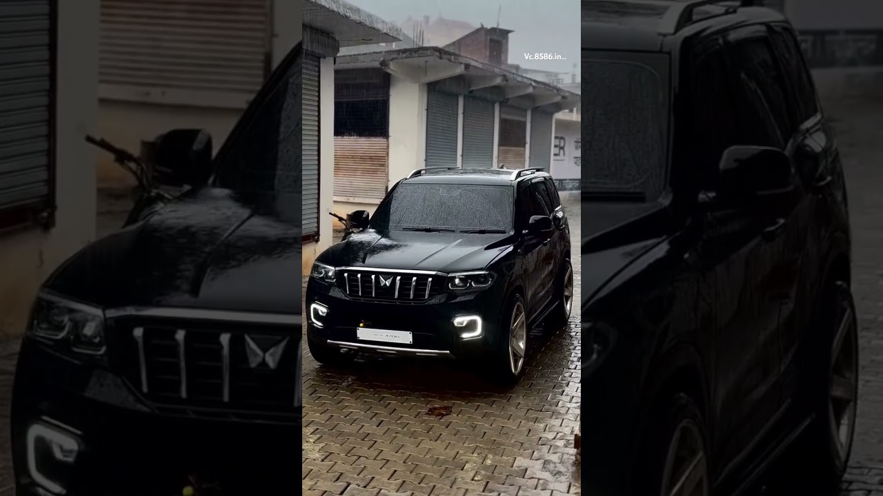 Scorpio N⛈️ - Ultimate Easy Listening Music for Scorpio Enthusiasts