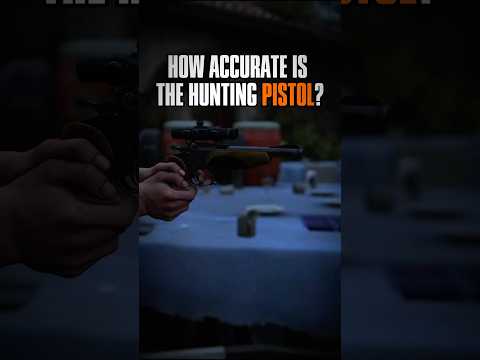 How Accurate Is The Hunting Pistol? #foryou #fyp #tlou2 #thelastofus #accuracy #thelastofuspartii