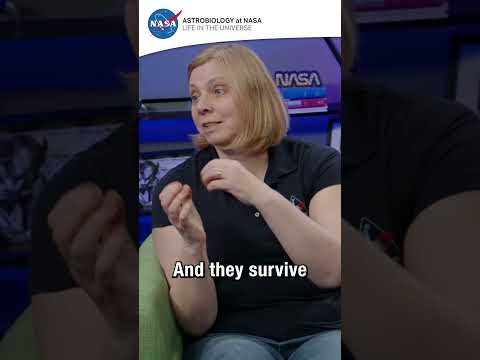 #NASA Science Live: scientists from the OSIRIS-REx mission reveal their rarest findings from Bennu