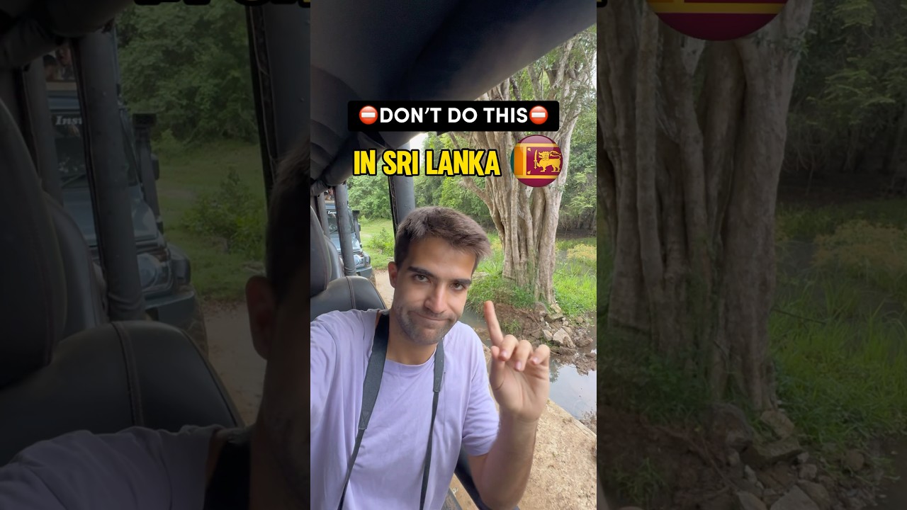 Travel Tips for Sri Lanka's Famous Train 🚂