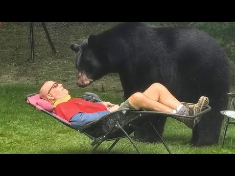 Funniest ANIMALS Videos 2025 will make you LAUGH YOUR HEAD OFF 😂