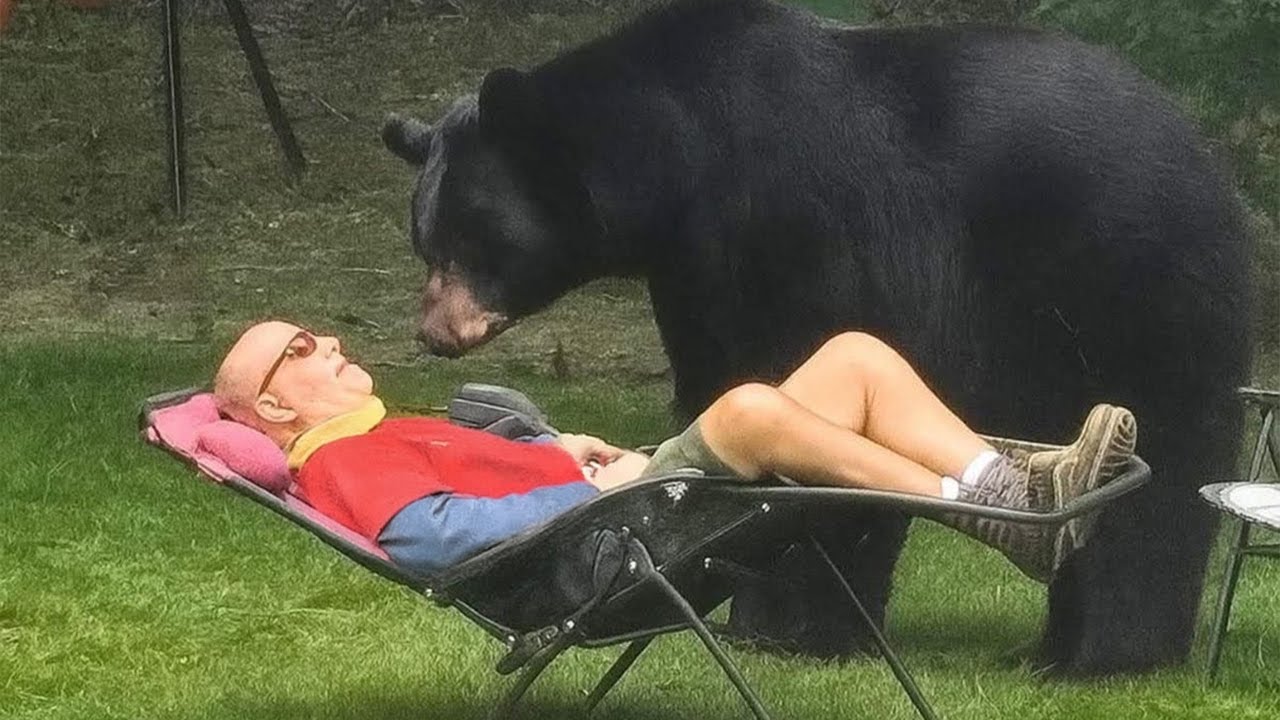 Hilarious Animal Videos of 2025 That Will Make You Laugh Out Loud 😂